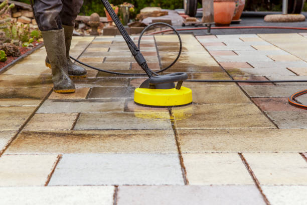 Best Gutter Cleaning  in Delta Junction, AK
